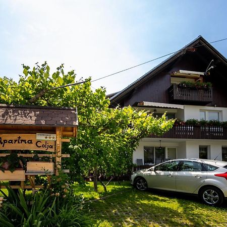 Apartmaji Colja Bohinj Exterior photo